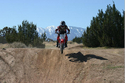 Jerome_Higman_2009-1.jpg